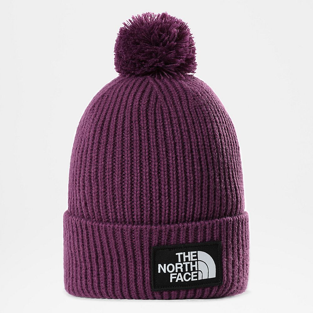 The North Face Beanies Mens Australia - The North Face Tnf Logo Box Pom Purple (KTV-089351)